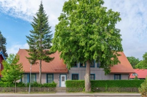 Egidijaus Vila
